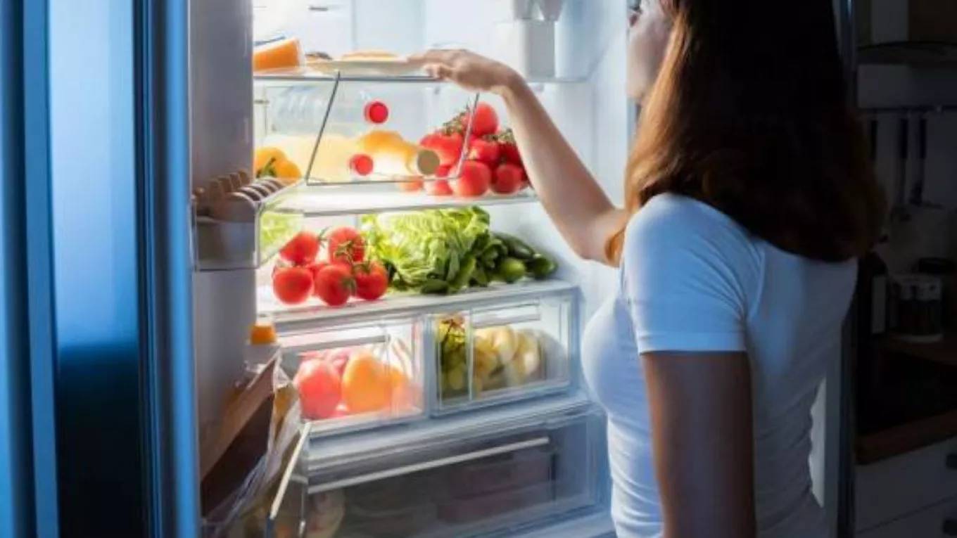 دانستنی های جالب و کوتاه درباره نگهداری از یخچال